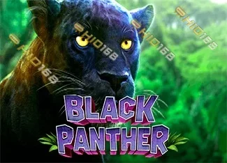 pp image