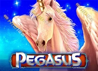 pp image