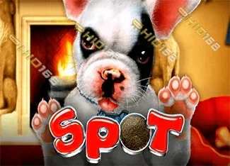 pp image