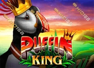 pp image
