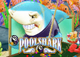 pp image